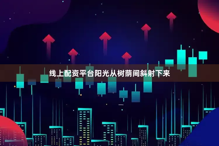线上配资平台阳光从树荫间斜射下来